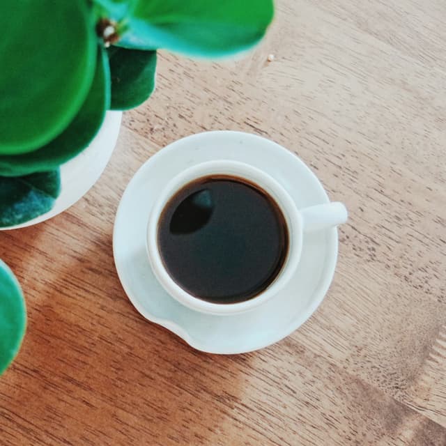Drip Coffee